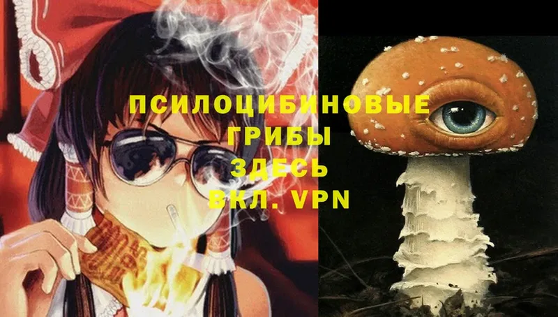 Псилоцибиновые грибы Magic Shrooms  Ряжск 